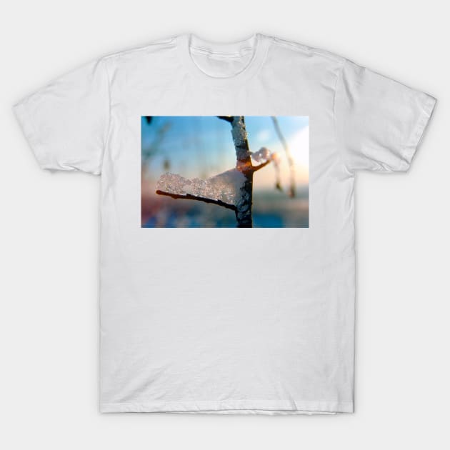 The Sun Prepares to Set on a Winter's Day T-Shirt by BrianPShaw